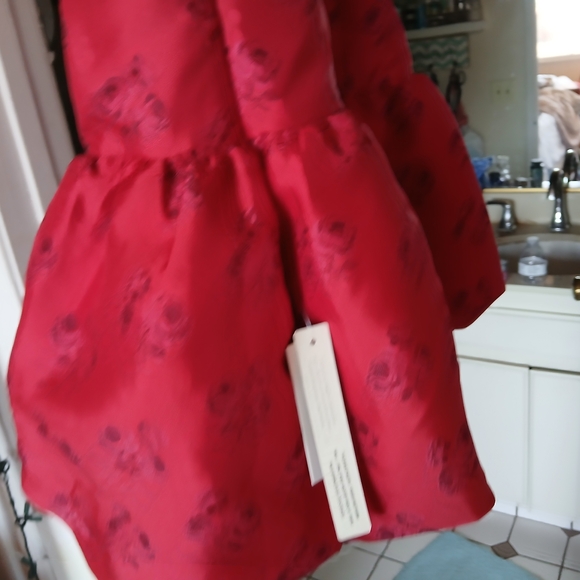 Elegant Red Lace Trimmed Nightgown - Picture 5 of 9